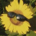 Sunflower community🌻