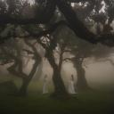 Haunting Sapphics