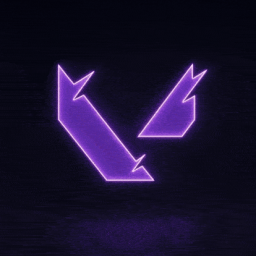 Custom VALORANT