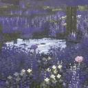 ✦ Decaying Garden