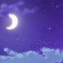୨୧・❀ 𝐋𝐚𝐯𝐞𝐧𝐝𝐞𝐫 𝐅𝐢𝐞𝐥𝐝𝐬